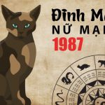 Bát Trạch 1987 và hướng nhà hợp tuổi