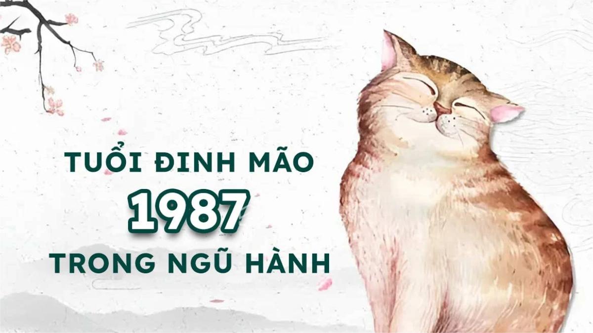 Bát Trạch 1987 và hướng nhà hợp tuổi