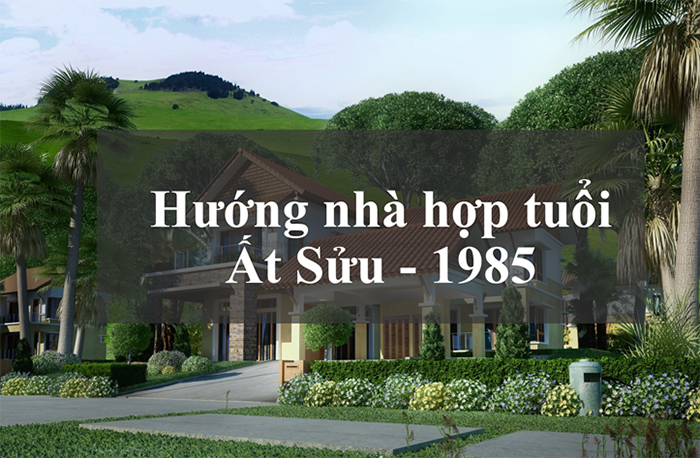 Bát trạch 1985