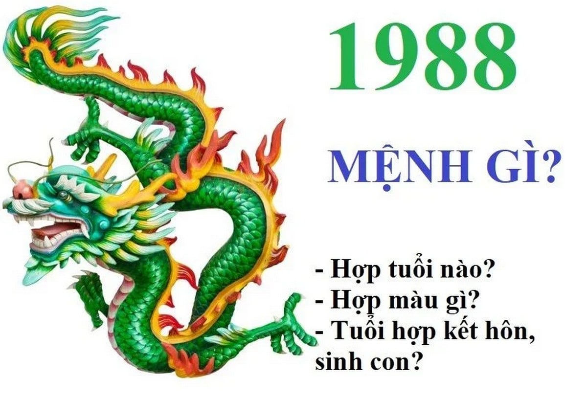 Bát trạch 1988