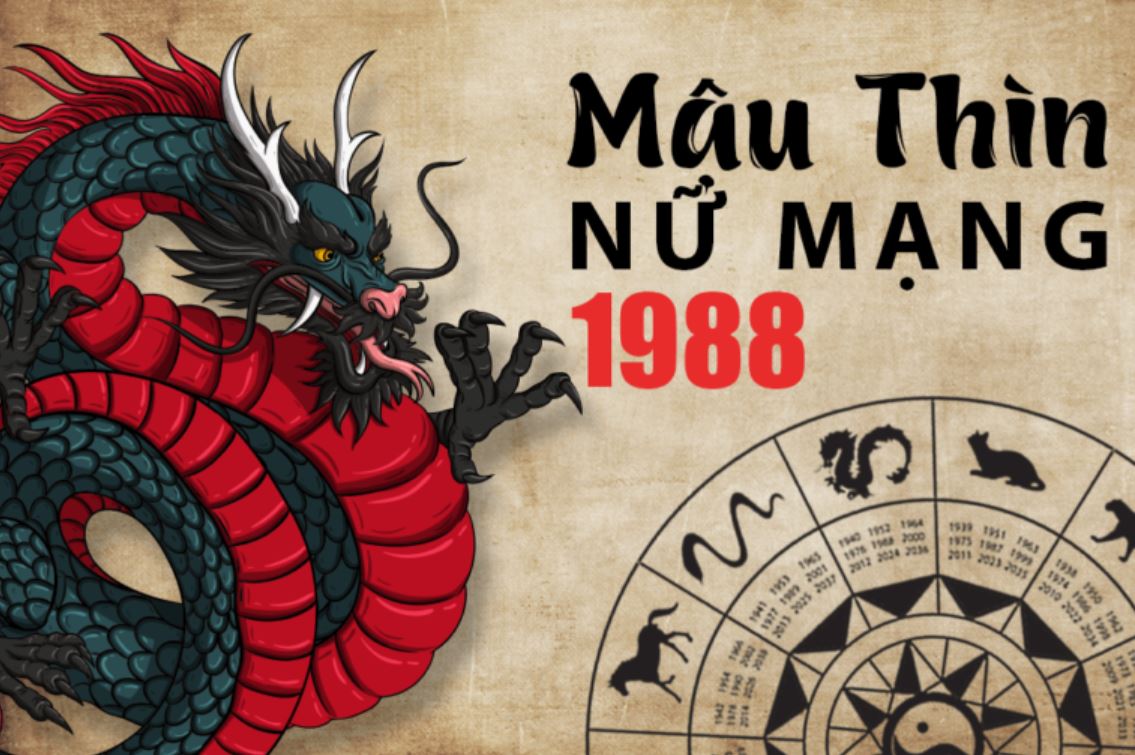 Bát trạch 1988