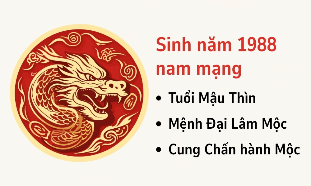 Bát trạch 1988