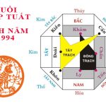 Bát trạch 1994