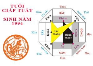 Bát trạch 1994