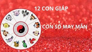 Con Số May Mắn 12 Con Giáp