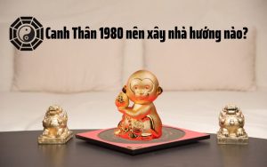 bát trạch 1980