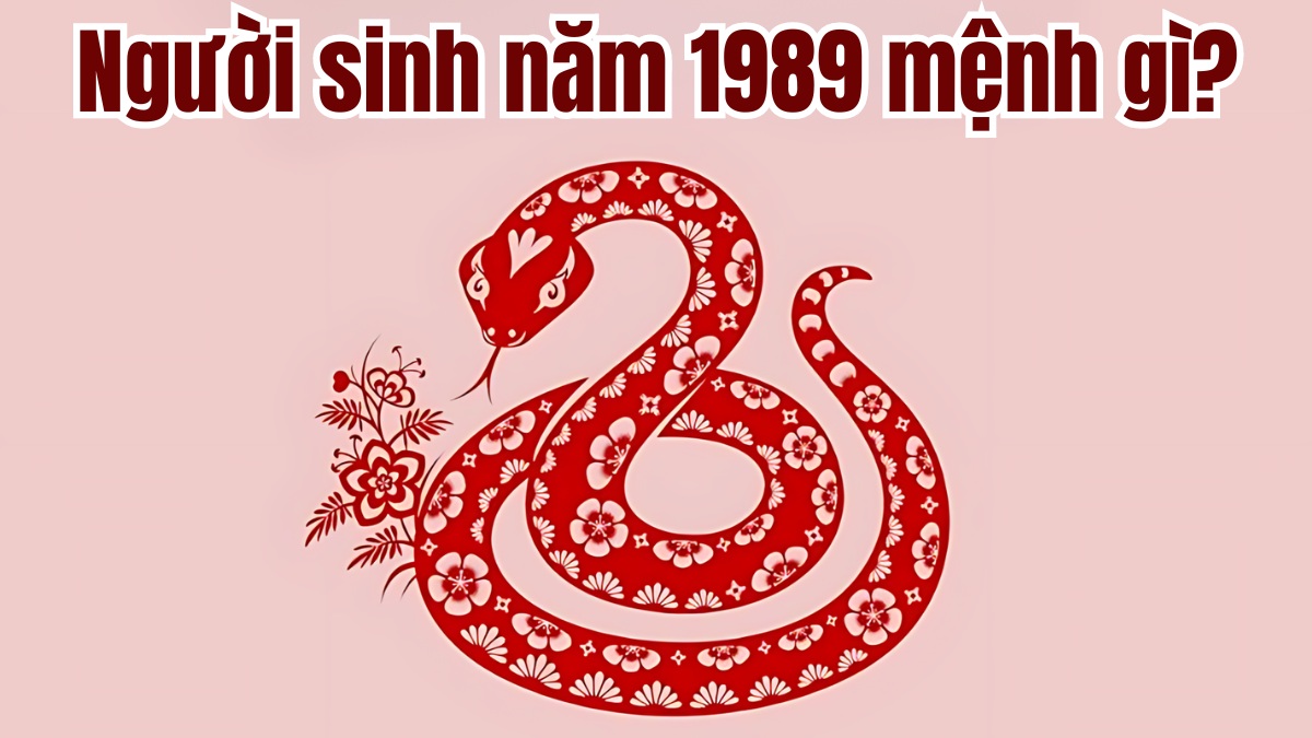 Cung phi và mệnh quái trong Bát Trạch 1989