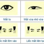 Đôi mắt trong nhân tướng học