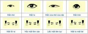 Đôi mắt trong nhân tướng học