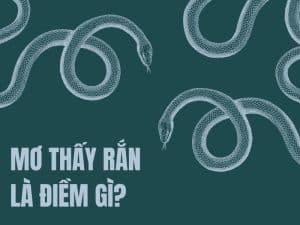 Mơ thấy rắn