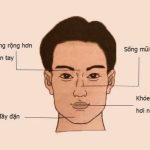 Nhân tướng học khuôn mặt