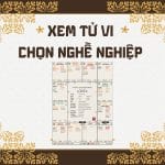 Xem tử vi chọn nghề nghiệp