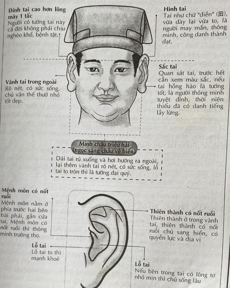 Xem tướng tai