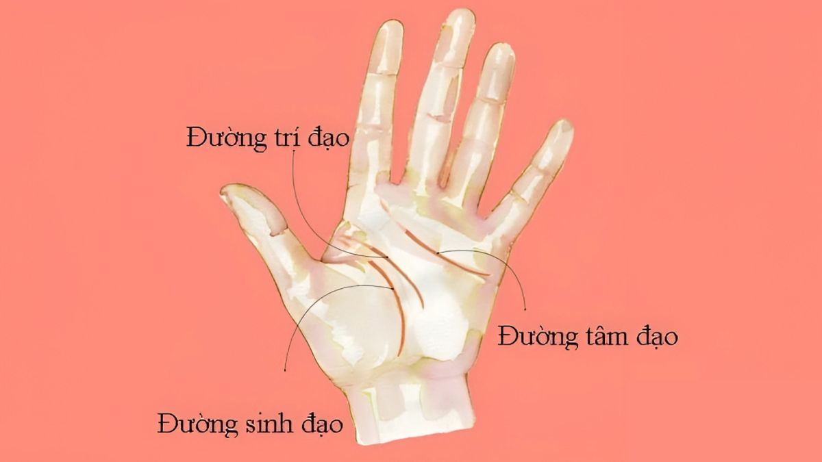 Bói chỉ tay nữ